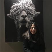 Imparto clases particulares y Online. Precio económico